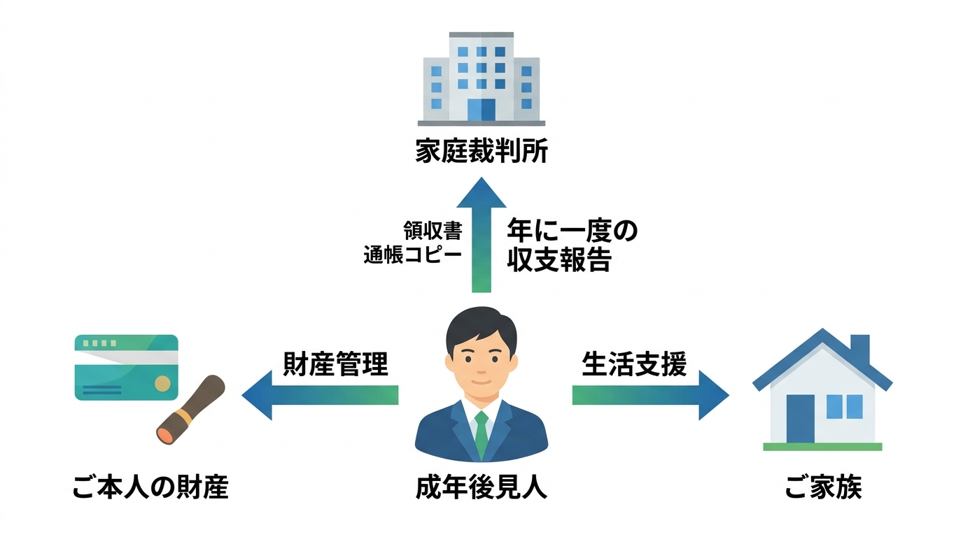 成年後見人が本人の財産管理と家族の生活支援を行い、その収支を年に一度家庭裁判所に報告する義務があることを図解したインフォグラフィック。